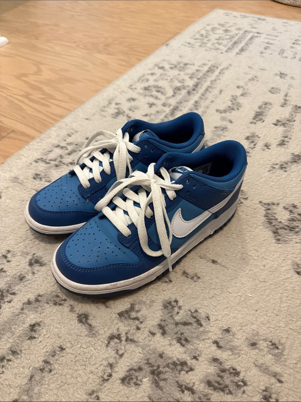 Nike Blue and White Low-Top Sneakers
